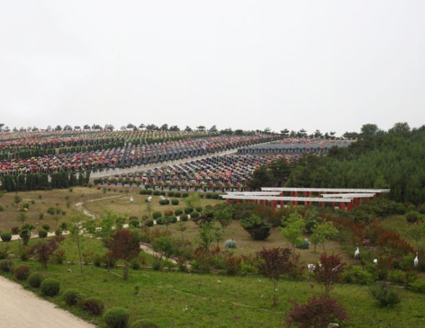 墓园全景
