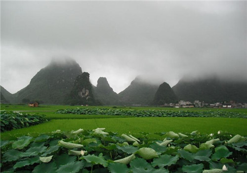 沈阳墓园,沈阳陵园