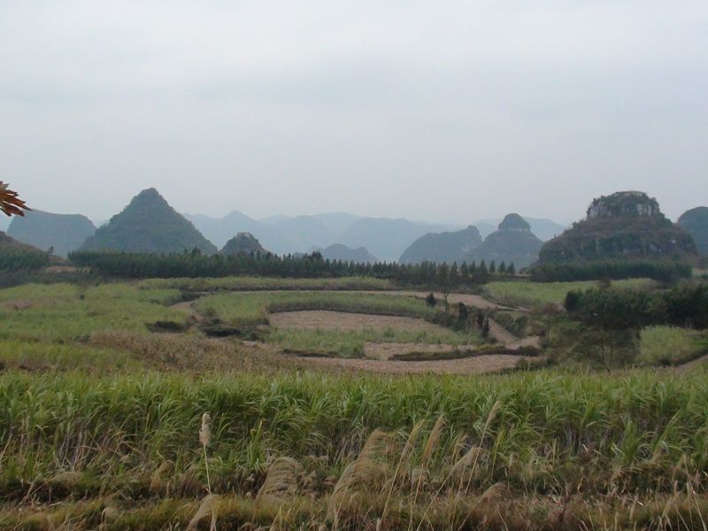 墓园环境