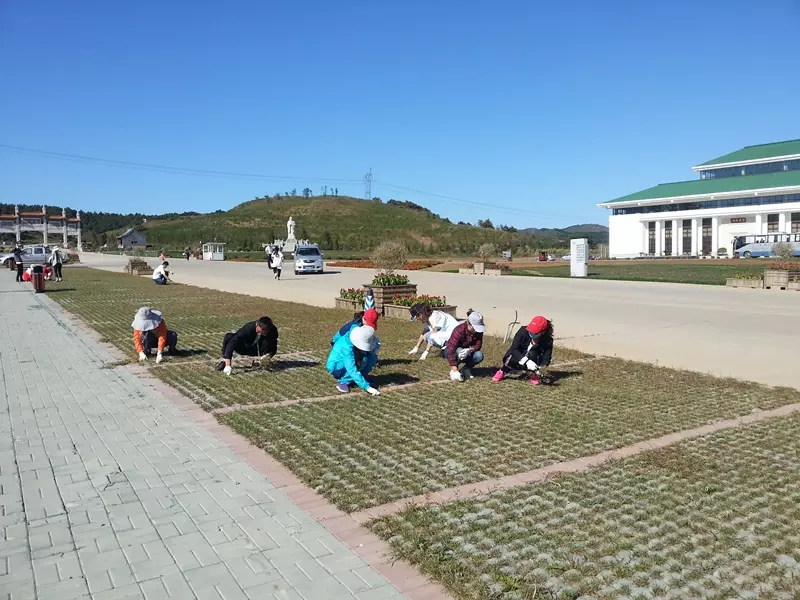观陵山拔草